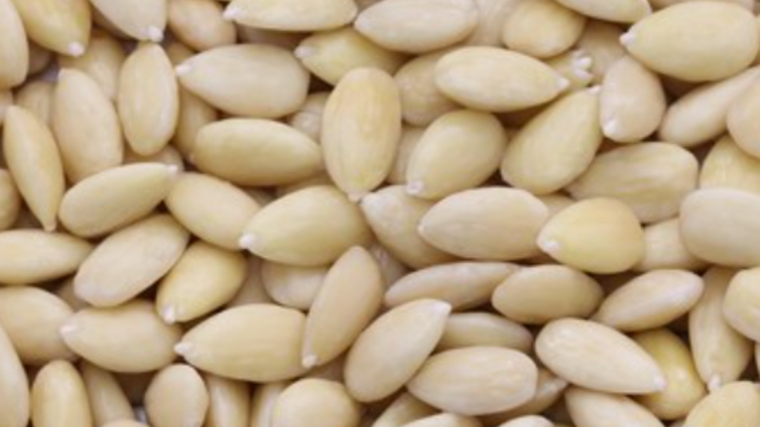 WILD-APOTHECARY-HUILE-AMANDE-BIOLOGIQUE-PRESSEE-A-FROID-SOIN-VISAGE-HYDRATATION-AMANDONS-BRUT