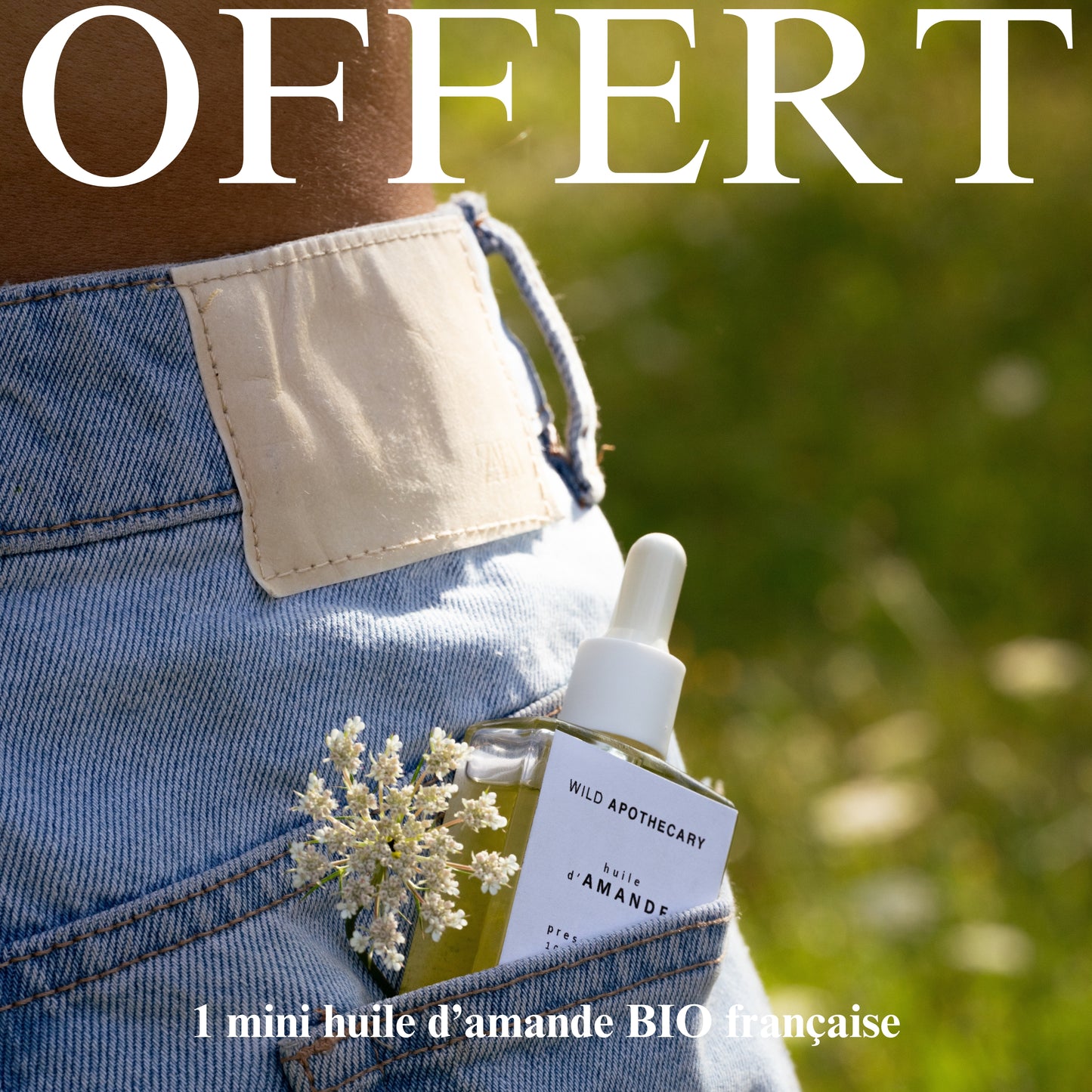 WildApothecary-1minihuileamandeOFFERTE