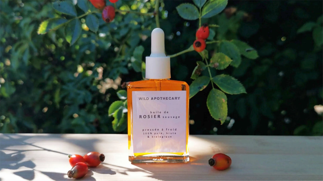 ARTICLE-WILD-APOTHECARY-LA 1ERE HUILE DE ROSIER SAUVAGE FRANCAISE PRECIEUX ACTIF BOTANIQUE