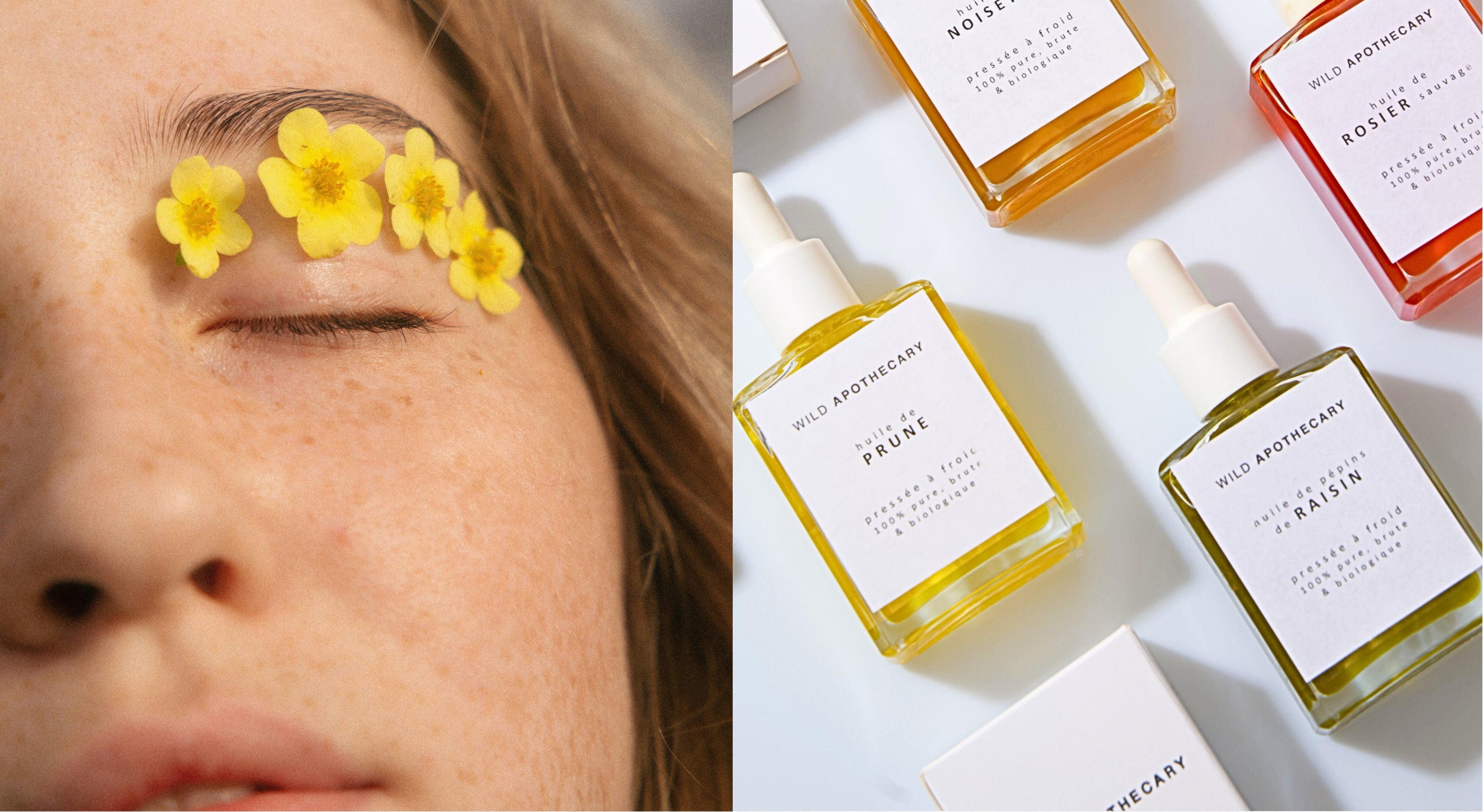 Hero_banner-WIld_Apothecary-Wild_Days_2026-Desktop