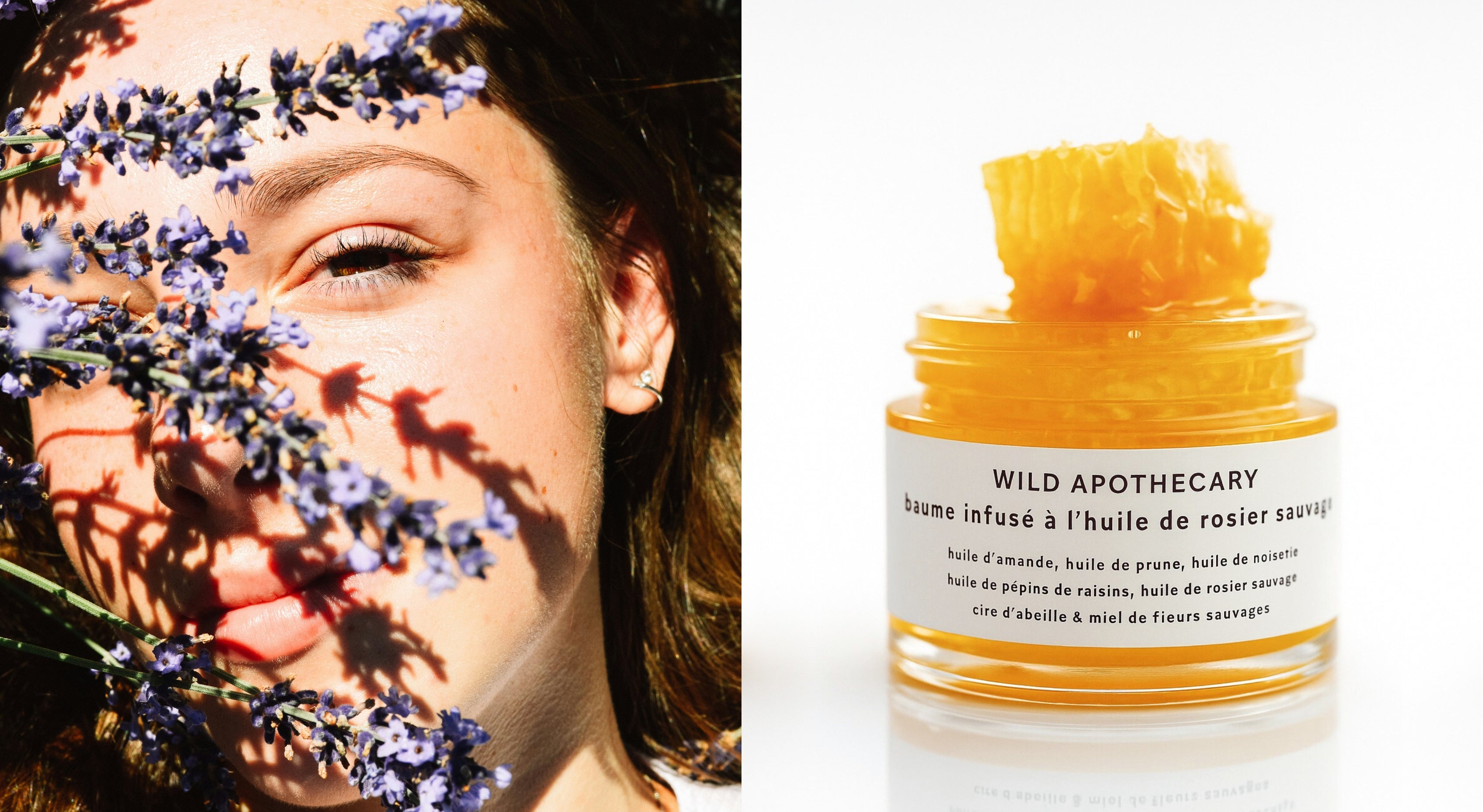 WILD-APOTHECARY-HERO-BANNER-BAUME-BOTANIQUE-DESKTOP