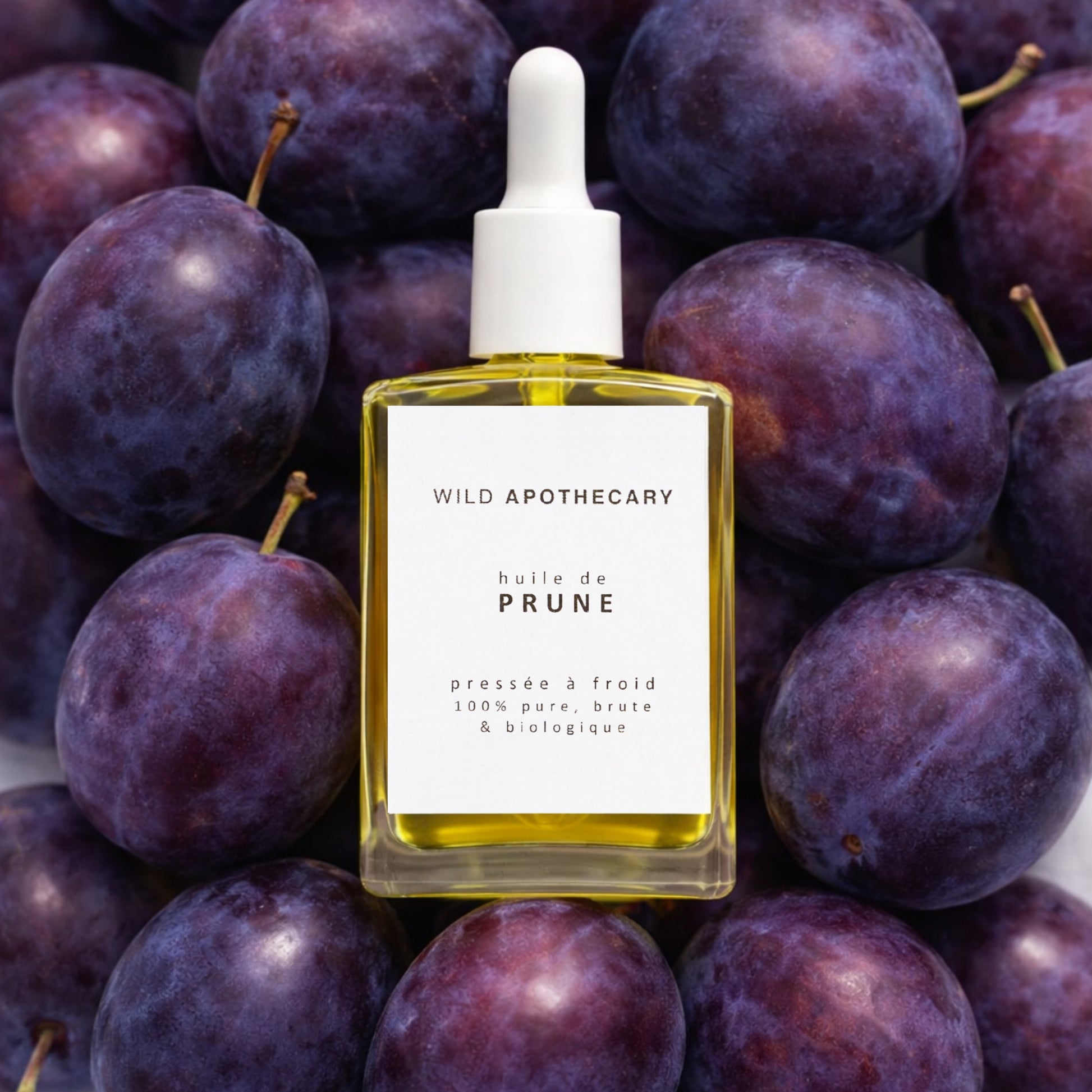 WILD-APOTHECARY-SKINCARE-ANTI-AGE-HUILE-PRUNE-BIOLOGIQUE-FRANCAISE-8