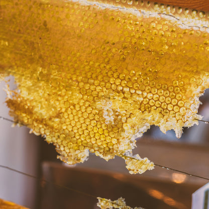 Baume infusé à l'huile de rosier sauvage biologique