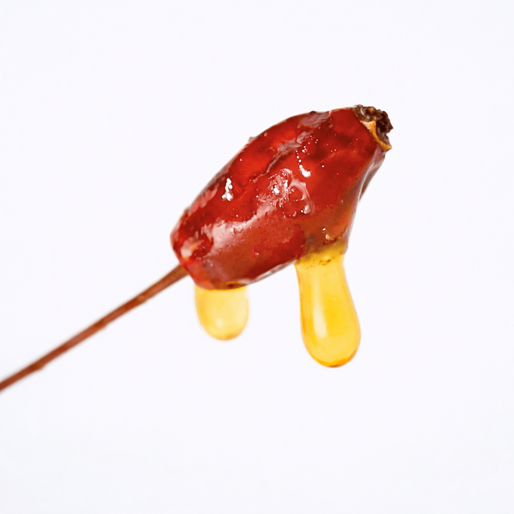 WILD-APOTHECARY-SKINCARE-ECLAT-HUILE-ROSIER-SAUVAGE-BIOLOGIQUE-FRANCAISE-5_2eba1e4b-3e29-4672-8576-81bd7ada674e