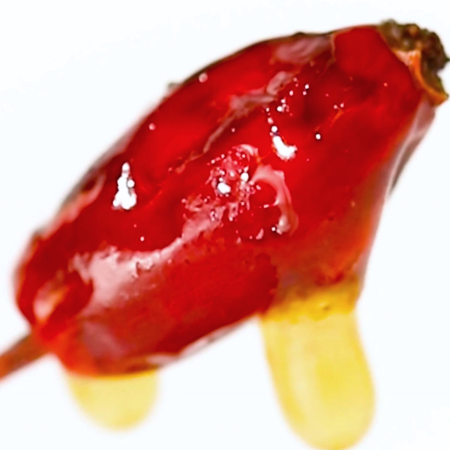 WILD_APOTHECARY-CERTIFIE_BIOLOGIQUE-AB