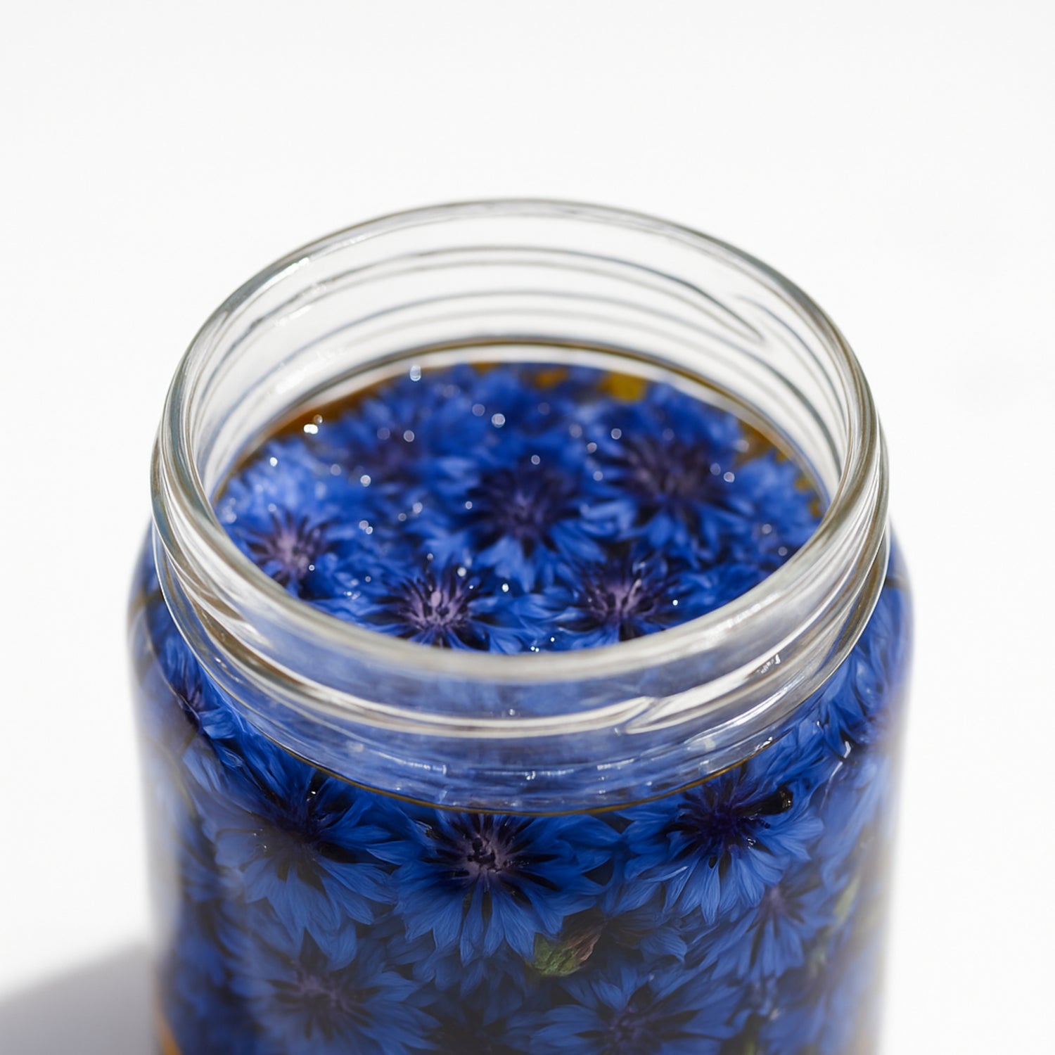 WILD_APOTHECARY-ENGAGEMENTS-APOTHICAIRE