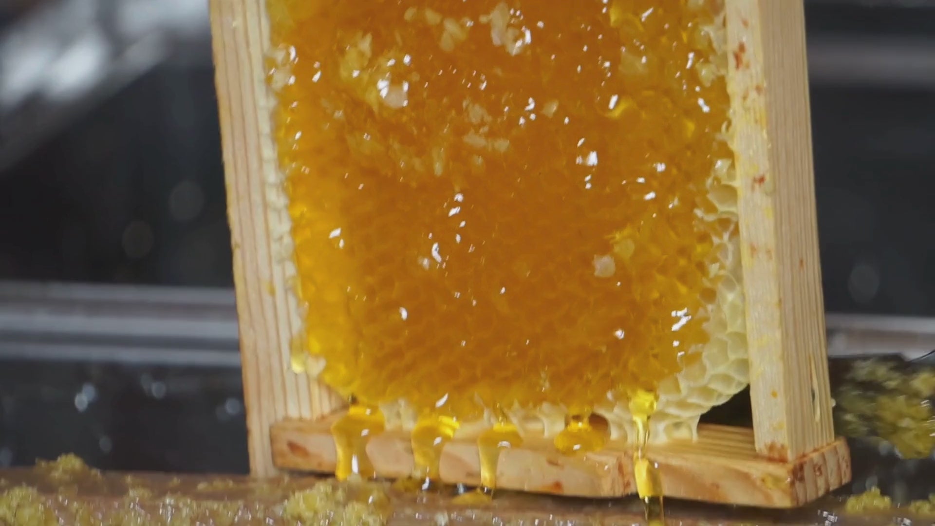 WILD-APOTHECARY-SKINCARE-ECLAT-BAUME-HUILE-ROSIER-SAUVAGE-BIOLOGIQUE-FRANCAISE-11