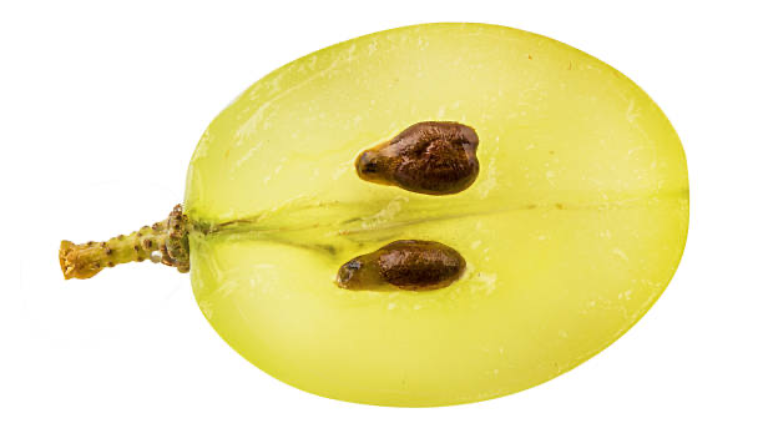 Huile de pépins de raisin biologique pressée à froid 100% pure, brute ...