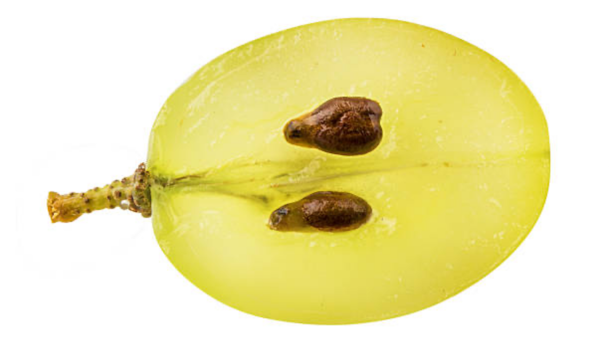Huile de pépin de raisin BIO: antioxydante, anti-âge, huile sèche